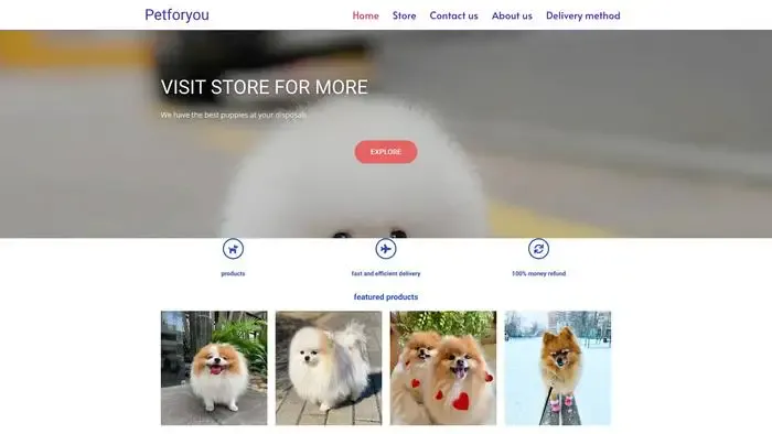 Screenshot of