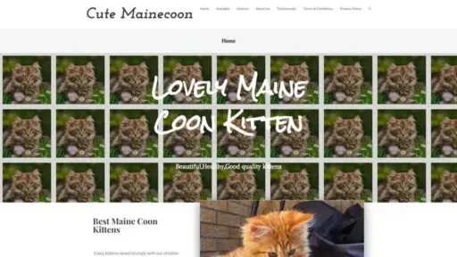 Screenshot of
