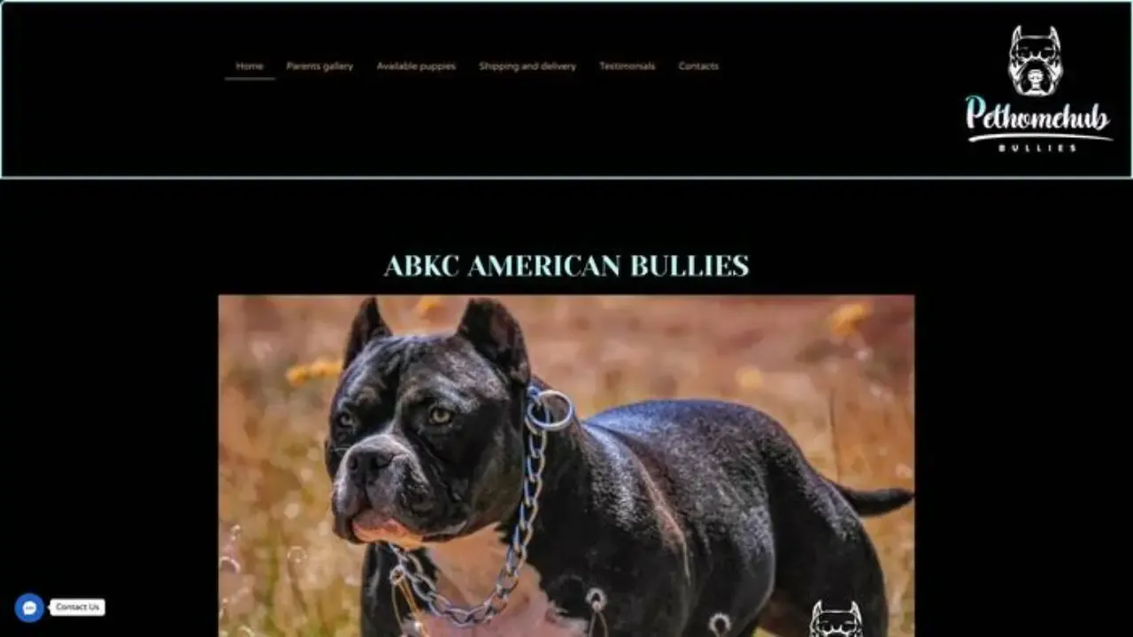 Pethomehubbullies