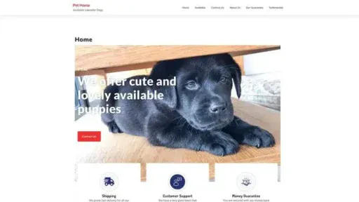 Screenshot of