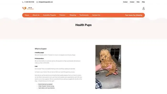 Screenshot of