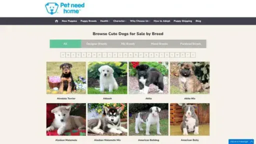 Screenshot of