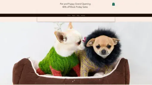 Screenshot of