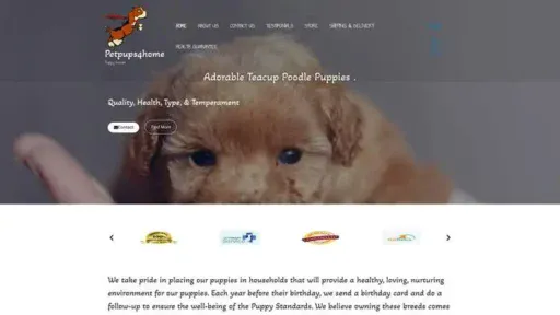 Screenshot of