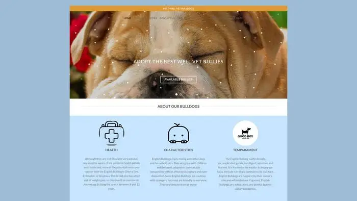 Screenshot of