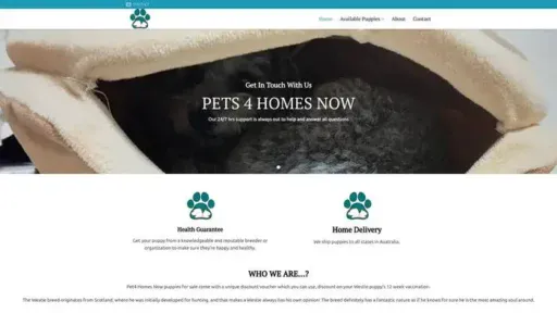 Screenshot of