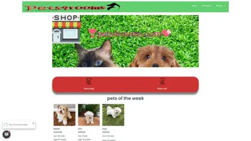 Screenshot of