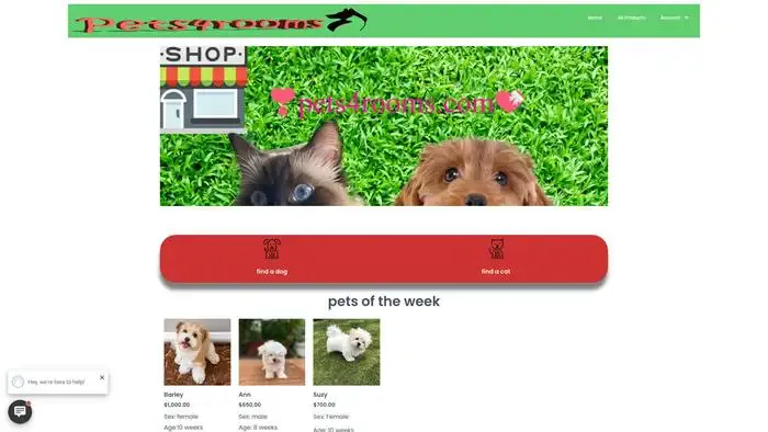 Screenshot of