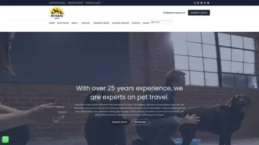 Screenshot of