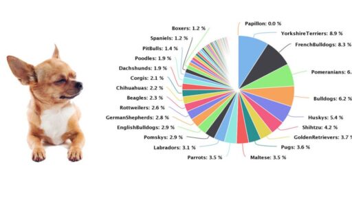Pet scams by most popular breed|A pi chart of pet scams by breed|Kitten-scam-online|puppy scams and Kitten scam online|||||Report-puppy-scams|NameCheap Hurting the internet|domain-to-server|sim-to-cellphone|sim-to-cellphone|shut-down-hosting|shut-down-hosting|melaneeter@gmail.com Namecheap scammer