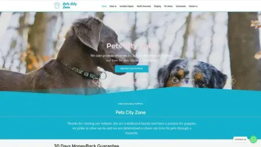 Screenshot of