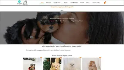 Screenshot of