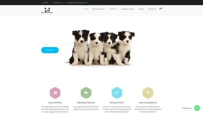 Screenshot of