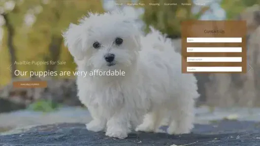Screenshot of