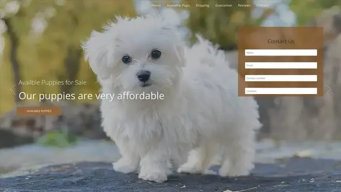 Screenshot of