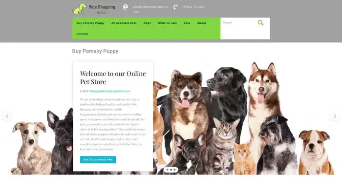 Screenshot of