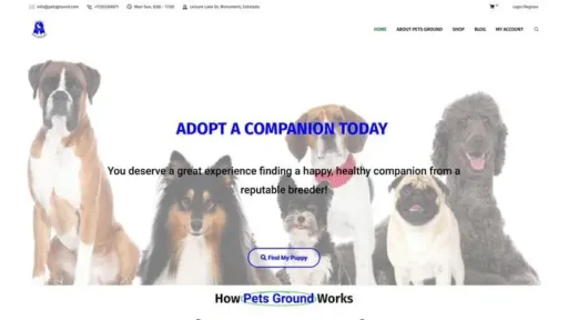 Screenshot of