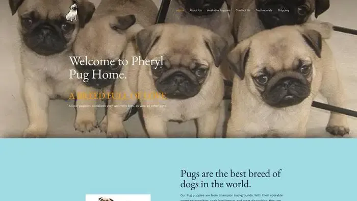 Screenshot of
