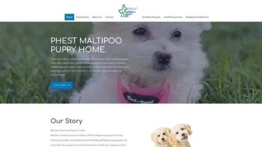 Screenshot of