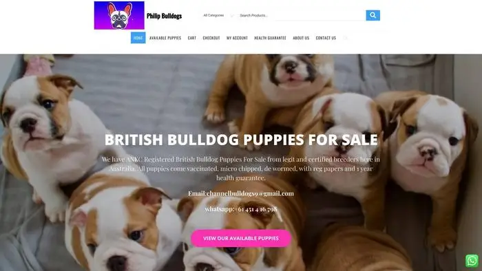 Screenshot of