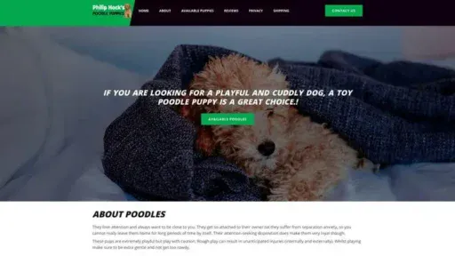 Screenshot of