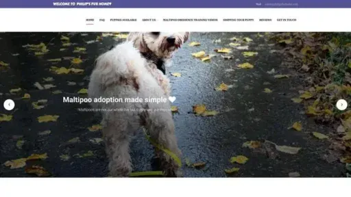 Screenshot of