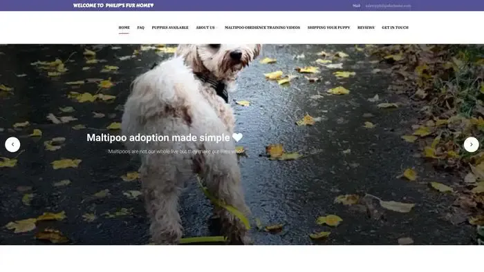 Screenshot of