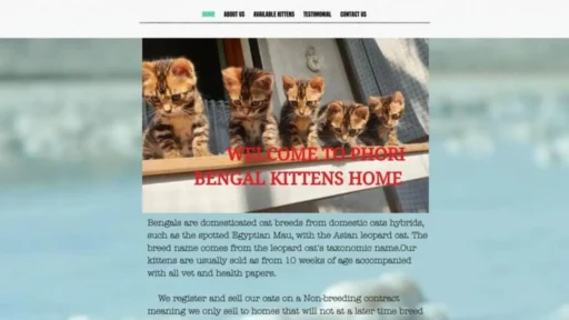 Screenshot of||