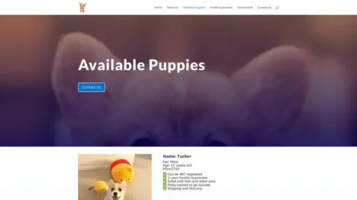 Screenshot of