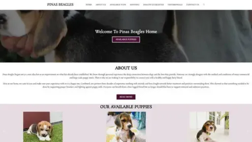 Screenshot of