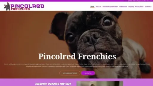 Screenshot of