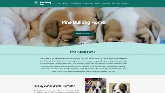 Screenshot of