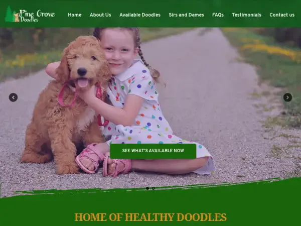 Screenshot of