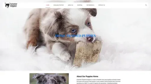 Screenshot of