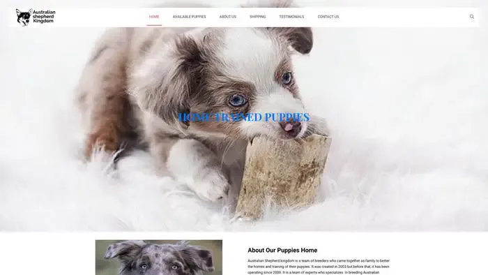Screenshot of