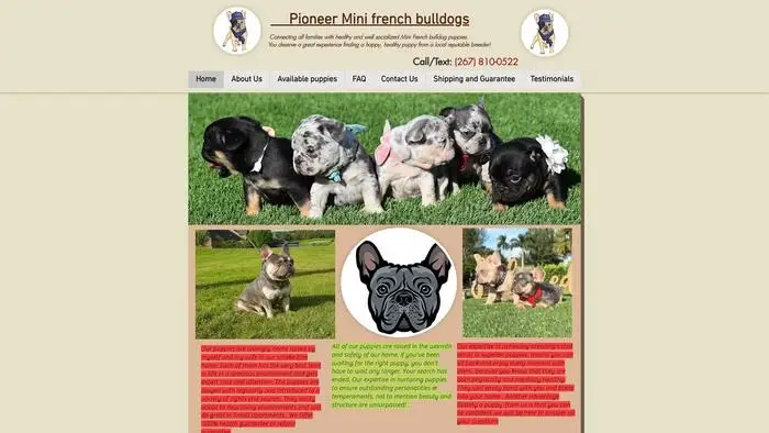 Screenshot of