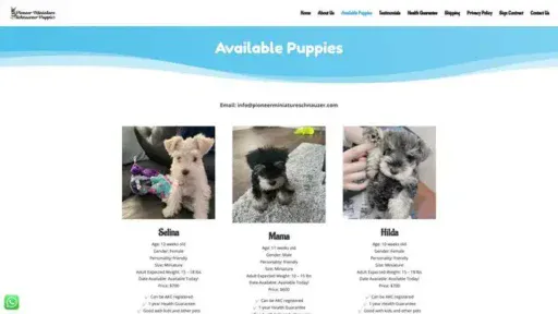 Screenshot of