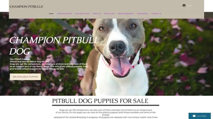 Screenshot of