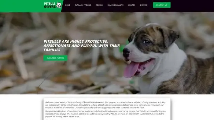 Screenshot of