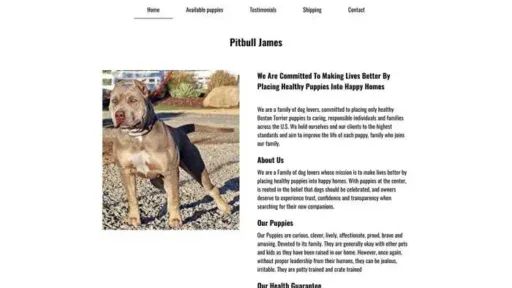 Screenshot of