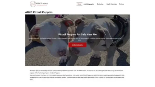 Screenshot of