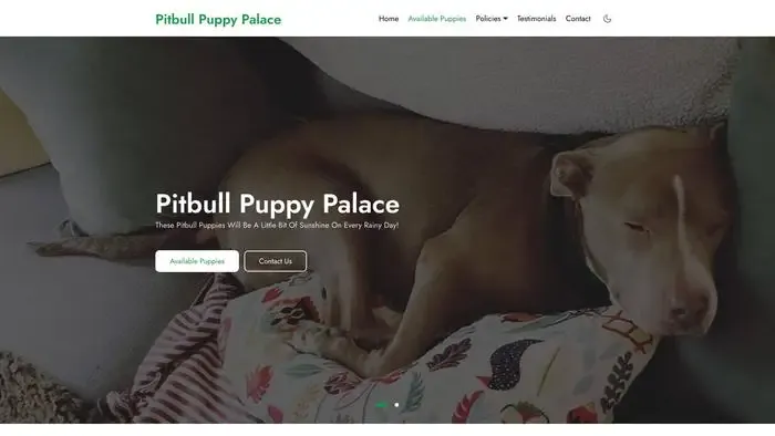 Screenshot of