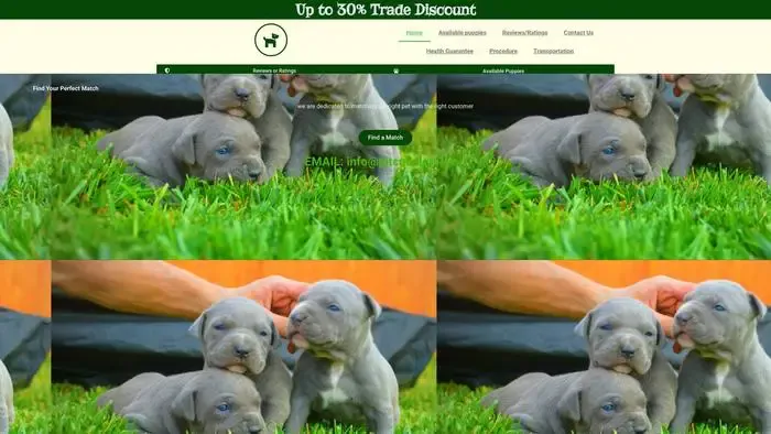 Screenshot of