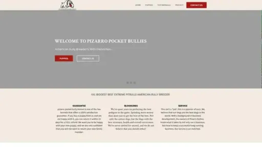 Screenshot of