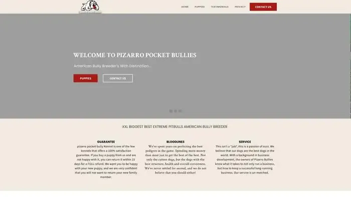 Screenshot of