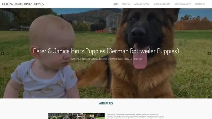Screenshot of