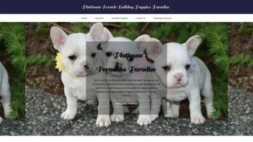 Screenshot of