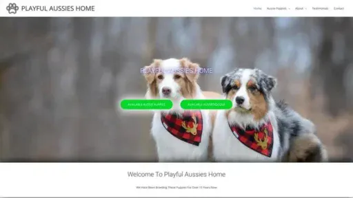Screenshot of