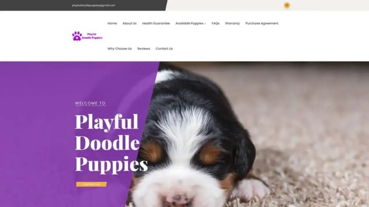 Playfuldoodlepuppies