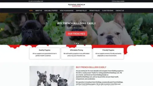 Screenshot of